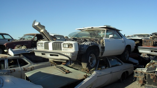 1976 OLDSMOBILE CUTLASS (76OL2836B)