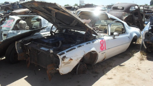 1981 Pontiac Firebird (#81PO9125C)