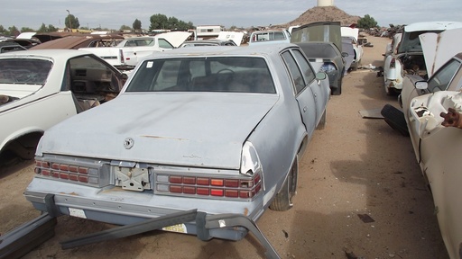 1984 Pontiac Bonneville (#84PO5423C)