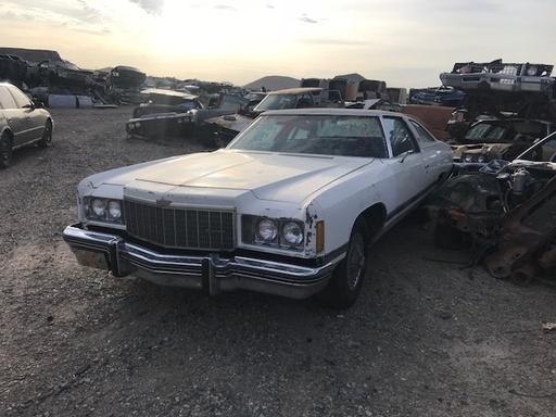 1974 Chevrolet Caprice 2 Door HT (#74CH2559B)