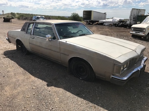 1983 Oldsmobile Delta 88 Royal 2 Door Sedan (#830L8579C)