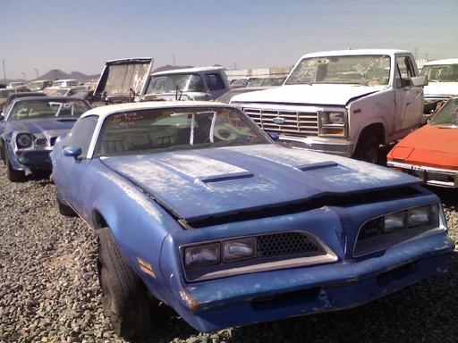 1977 Pontiac Firebird (#77PO4260R)