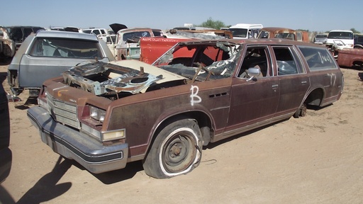 1979 Buick Estate Wagon (#79BU9713E)