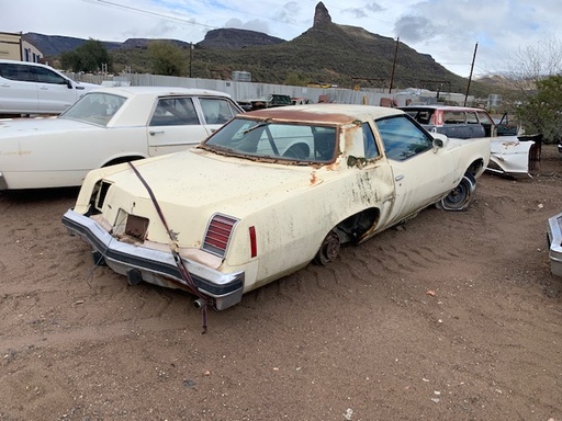 1976 Pontiac Grand Prix 2 Door HT (#76PO6845B)